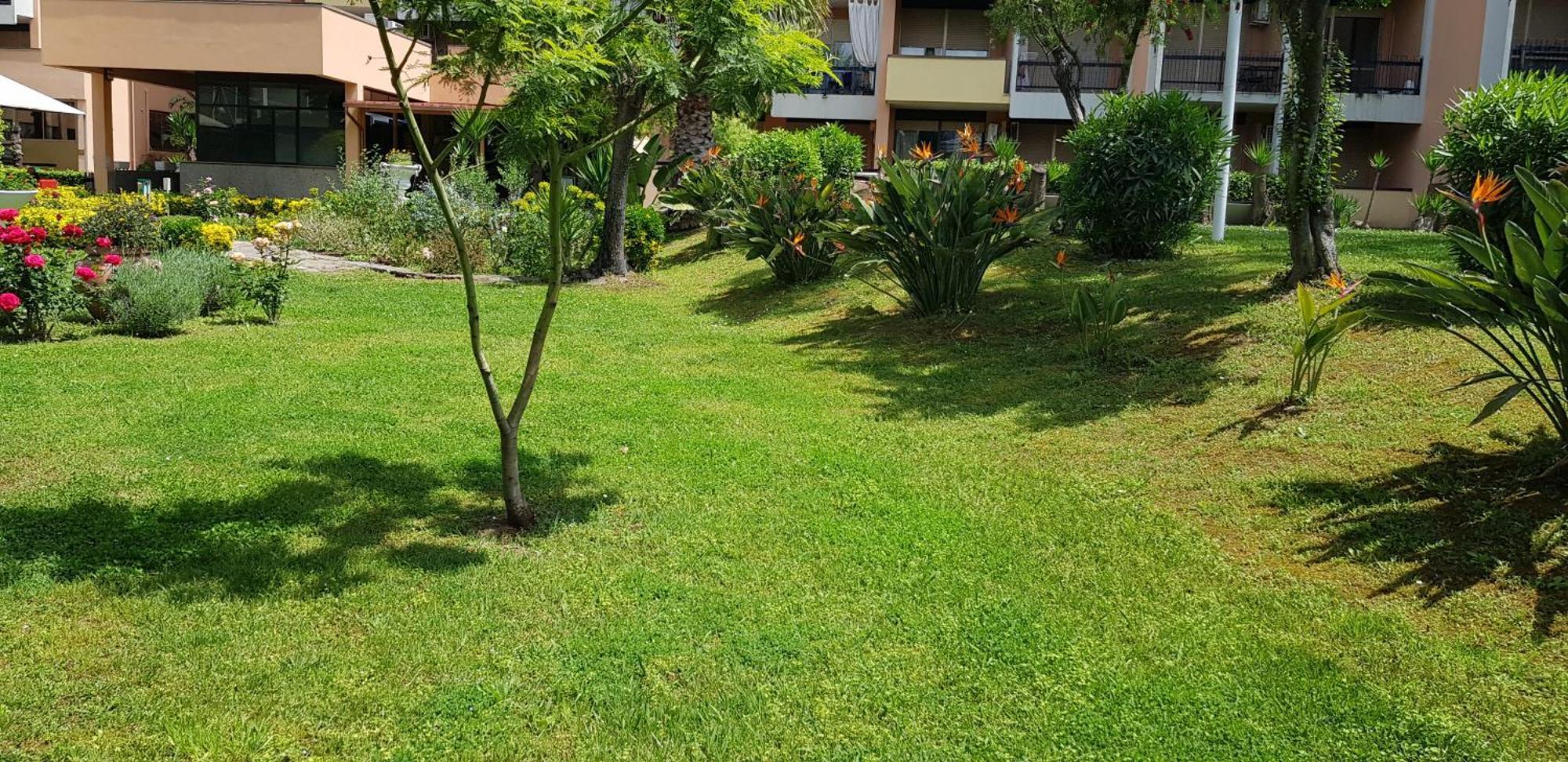 Appartement Oasis *
